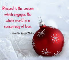 Here are 5 diy christmas trees made from plastic bottles. Best 50 Christmas Tree Quotes Events Yard