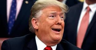 Digitals Discovery — Bikernet.com