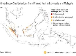 Greenhouse Gas Emissions From Drained Peat In Indonesia And Malaysia Greenhouse Gas Emissions Emissions Drained