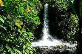 Enter your dates and choose from 304 hotels and other places to stay. Ecotourism In Michoacan The Uruapan National Park