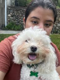 Top Brooklyn Cat Boarding Prices & Reviews