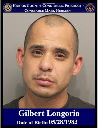 Mark Herman, Harris County Constable Precinct 4