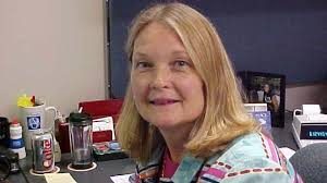 Auditors give Huron Valley Schools high marks