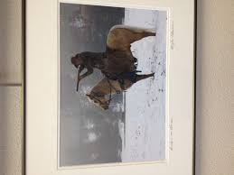 Clyde Elmore photography