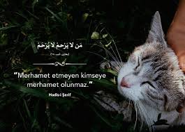 Saver Adli Kullanicinin Ayet Hadis Panosundaki Pin 2020