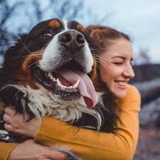 There are hundreds, if not thousands, of pet insurance options available on. Farmers Insurance Ny Farmersny Twitter