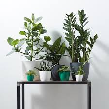 Get the best deals on plastic plant pots. Where To Buy Plant Pots In Singapore The Tender Gardener