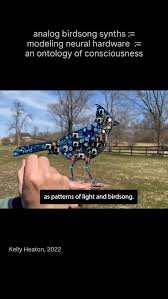 Bildergebnis für Kelly Heaton