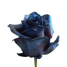 Only 1 available and it's in 2 people's carts. Metallic Blue Roses Unique Online Roses Flower Explosion