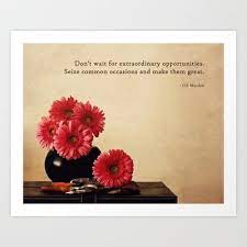 Don T Wait Art Print By Around The Island Robin Epstein Art Quotes Inspirational Fine Art Photo Gerbera Daisy
