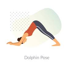 Dolphin Pose