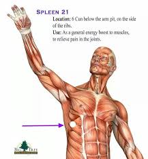Spleen 21 For Fibromyalgia Chronic Fatigue And Exhaustion Use Gentle Pressure Malasana Pose Boost Energy Acupressure