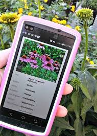 Snap android plant identification app. Plantsnap Mobile App Tips And Tricks For Best Results