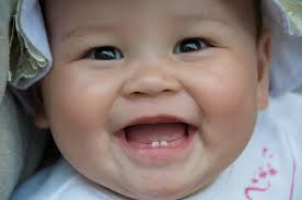 How to Care for a Baby's Teeth. The baby's teeth and gums are delicate…