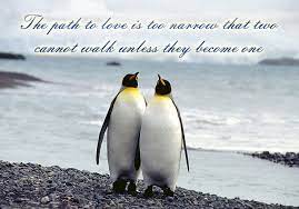 Because i am the most shallow person in the world, my mission is to see men's formal wear change a little bit. Penguin Love Quotes Quotesgram