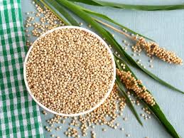 Image result for Sorghum