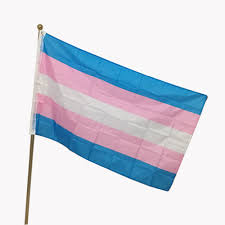 Transgender flagge 150 x 90 cm. Stolz Neue Transgender Flagge 5ft 3 Ft 100 Polyester 2 Schnalle Homosexuell Stolz Homosexuell Flagge Kreuz Gay Flag Transgender Flagflags Cross Aliexpress