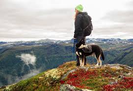 We did not find results for: Are National Parks Dog Friendly Guidelines From America S Top Parks