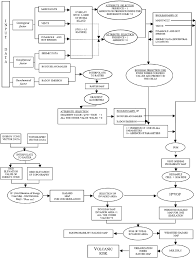 flow chart reporting step by step the procedure used to