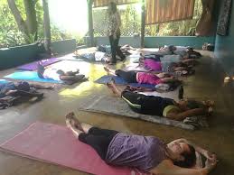 Yoga seems to be growing by leaps and bounds in jamaica! Yoga In Jamaica Afya Yoga Studio Food Wine Travel