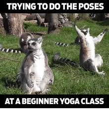 Find the newest yoga meme. 30 Yoga Memes That Are Honestly Funny Sayingimages Com