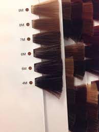 Matrix So Color Mocha Swatches Matrix Hair Color Matrix Hair Hair Color Wheel