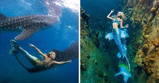 Image result for real mermaid