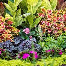 It takes research and planning for all sections of a yard, whether it's color: Shade Garden Design Ideas How To Choose The Right Plants