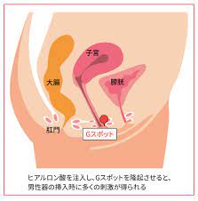 みどり美容クリニック・広尾