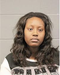 ᐅ Illinois Criminal Records 2009-2025