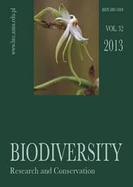 Image result for Hypoxis kilimanjarica