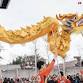 24th Annual Lunar New Year at OMCA: Year of the Snake