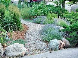 Green Building 101 Water Efficiency Low Water Landscaping Water Wise Landscaping Low Water Gardening