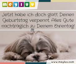 Zum ersten hochzeitstag wünsche ich dem frisch verliebten paar, dass alle eure gemeinsamen wünsche. Tierische Geburtstagsgrusse Alles Gute Nachtraglich Zu Deinem Geburtstag Haustier Adoption Gluckwunsch Nachtraglich Gluckwunsche Nachtraglich Zum Geburtstag