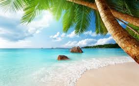 Crab on white sand beach close photo shot. Beautiful Ocean Beach 1920x1080 Wallpaper Teahub Io