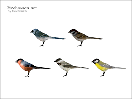 The cats & dogs expansion pack for . Severinka S Small Bird 01