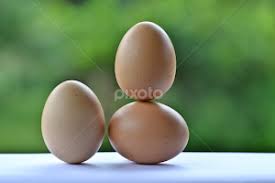 Stock Image Search Results