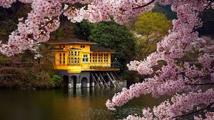 Please choose which image is of interest to you and will be used as wallpaper. Desktop Japan Spring Wallpaper Novocom Top