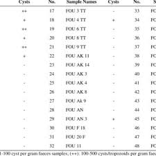Image result for Balantoides Coli