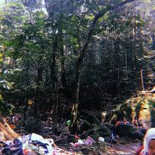 Foto Di Air Terjun Sungai Tekala 14 Consigli Da 2243 Visitatori