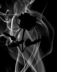 We have an extensive collection of amazing background images carefully chosen by our community. Best Wallpaper Iphone Black And White Smoke 64 Ideas Black Roses Wallpaper Black Aesthetic Wallpaper Black Background Wallpaper