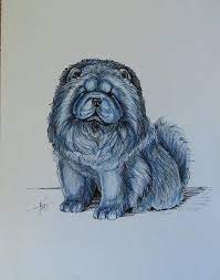 I used to draw dogs and canines all the time as a kid. Whimsical Blue Chow Chow By Kathleen Zins Original Owned And Curated By The Pendragwn Group Chow Chow Puppy Chow Chow Dogs Chow Chow