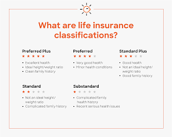 Life insurance insurance homeowners insurance. What Are Life Insurance Classifications Policygenius