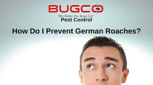 Austin Roach Control Service