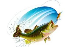 Are you knowledgeable enough on the best practices of freshwater fishing? Bass Fishing Quiz Quiz Quizony Com