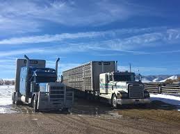 Breaking News On Eld Front New Bill Introduced To Make Trucking Regulations More Livestock Friendly Https Ift Tt 2s6vilv Livestock States Tri