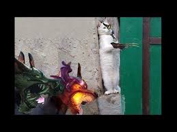 Top Lol Funny Compilation League Of Legends Memes Youtube A beautiful, atmospheric fantasy land, but mostly we're here for the naruto memes. top lol funny compilation league of legends memes