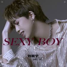 刘振宇- Sexy Boy