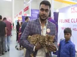 Cat scores will be used by iim and other major indian regulatory agencies for mba and pgdm admissions for the 2022 session. Telangana 3 Day Event Showcasing Indian Pets Concluded On Sunday