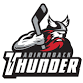 Worcester Railers at Adirondack Thunder event image